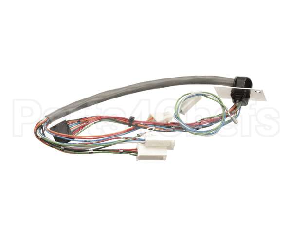 29066.0000 Bunn Wiring Harness,Door Interctpc