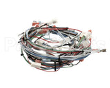 29067.0001 Bunn Wiring Harness,Mn 120/240V W/Hwv