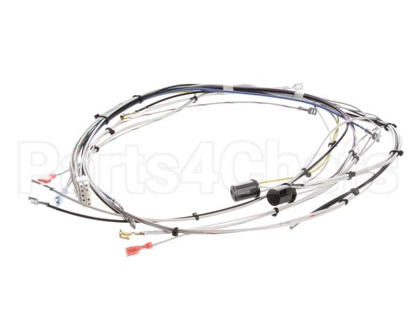 29072.0000 Bunn Wiring Harn,Main-Cdbc 120V