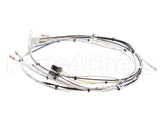29072.0000 Bunn Wiring Harn,Main-Cdbc 120V