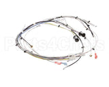 29072.0000 Bunn Wiring Harn,Main-Cdbc 120V