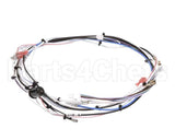 29072.0016 Bunn Wiring Harn,Main 120V 1L/2U