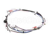 29072.0016 Bunn Wiring Harn,Main 120V 1L/2U