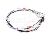 29072.0016 Bunn Wiring Harn,Main 120V 1L/2U