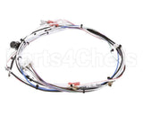 29072.0016 Bunn Wiring Harn,Main 120V 1L/2U
