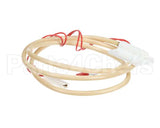 29241 Robot Coupe R10/R20 Reed Switch