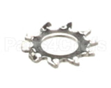 2C-1825 Star Washer #8 Ext Stl Np