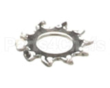 2C-1825 Star Washer #8 Ext Stl Np