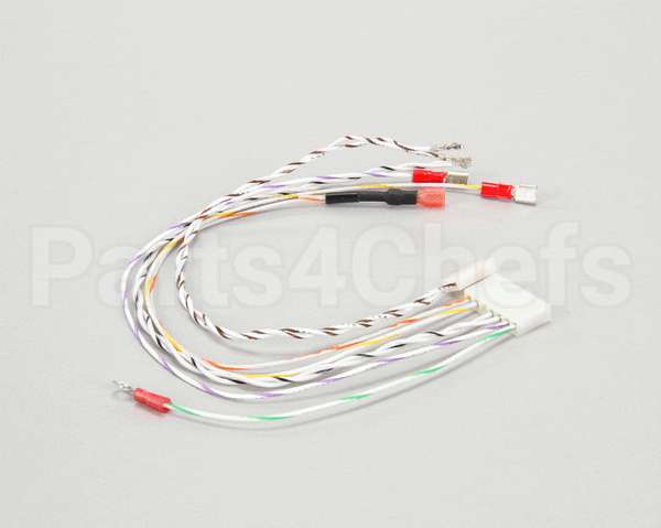 2E-141-701 Lang Harness, #1G - Gg