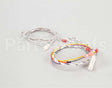 2E-141-702 Lang Harness, #2-Gg
