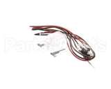2E-47273 Wells Switch Kit Electric Cv Ho