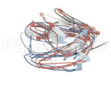 2E-B6780901 Magikitchn Wrg,Dual Control Pnl Mkge