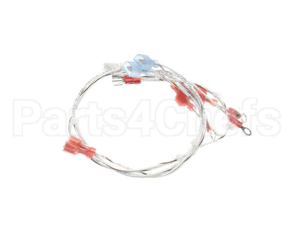 2E-EZG-713-2 Lang Harness,Burner Valve