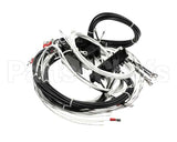 2E-XL-577 Lang Harness Element Slct 208/240V