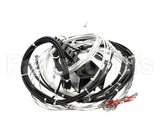 2E-XL-577 Lang Harness Element Slct 208/240V