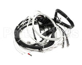 2E-XL-577 Lang Harness Element Slct 208/240V