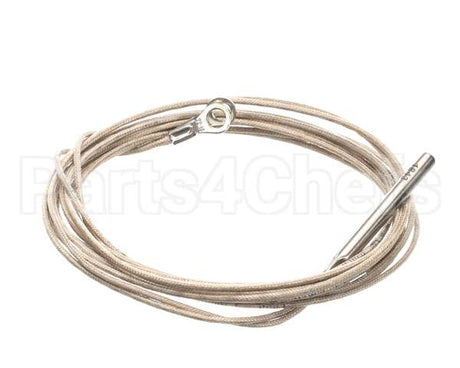 2E-Z20781 Lang Rtd Probe - 60 Long Wire