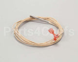 2E-Z3278 Star Rtd Probe - 48 Long Wire