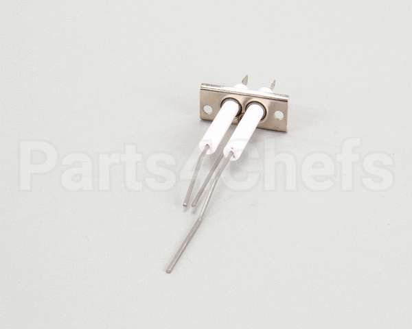 2J-80302-05 Lang Dsi Electrode Assembly