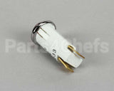 2J-Y6689 Star Pilot Light 120V