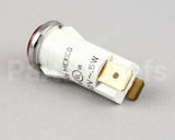 2J-Y6690 Star Pilot Light 240V