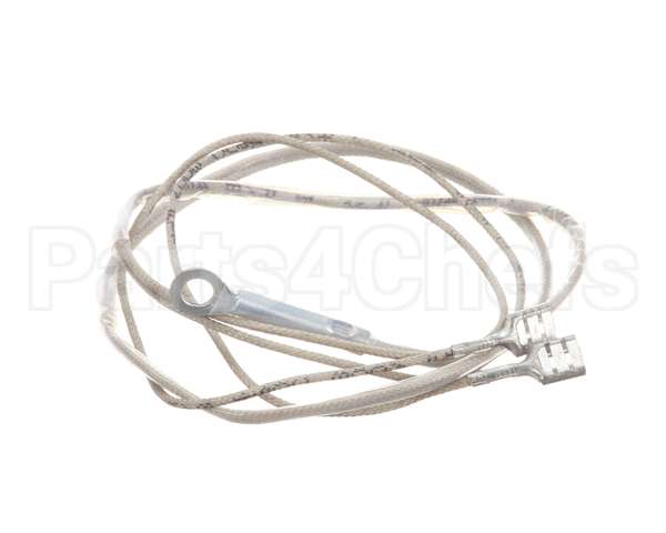 2J-Z16743 Wells Probe-Temp-Rtd-2K