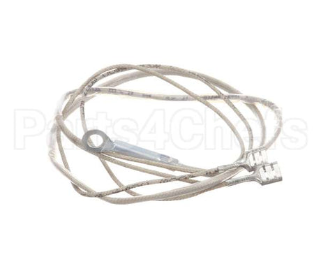 2J-Z16743 Wells Probe-Temp-Rtd-2K
