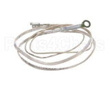 2J-Z16743 Wells Probe-Temp-Rtd-2K