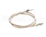 2J-Z16944 Wells Probe Temp-Rtd-20 Leads