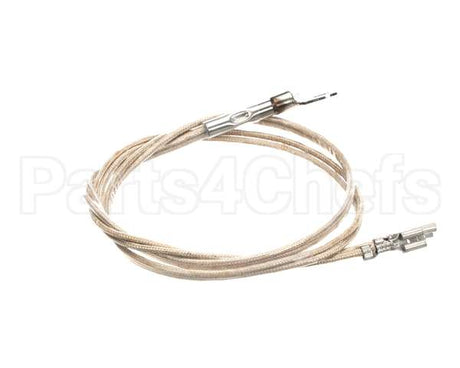 2J-Z16944 Wells Probe Temp-Rtd-20 Leads