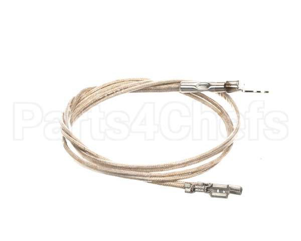 2J-Z16944 Wells Probe Temp-Rtd-20 Leads