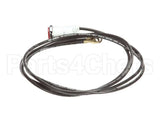 2S-Z3823 Star Indicator Light, 120V
