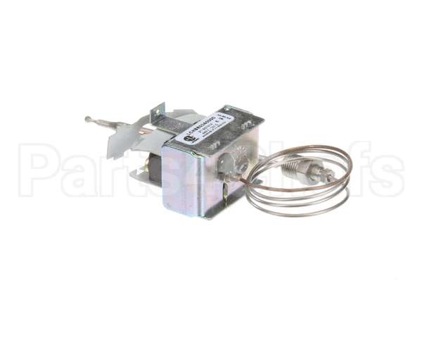 2T-307574 Wells Thermo Saf Man Reset Stnd