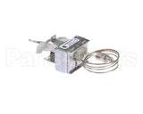 2T-307574 Wells Thermo Saf Man Reset Stnd