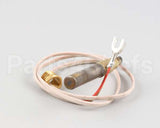 2T-42195 Wells Thermopile Fgs-40