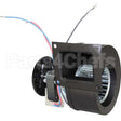2U-Z3412 Compatible Star Blower