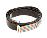 3.1.04.01.003 Spaceman Usa Electric-20 Pin Ribbon Cable