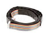 3.1.04.01.003 Spaceman Usa Electric-20 Pin Ribbon Cable