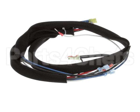 3000011988 Jade Wire Harness, Jade Conv Oven -
