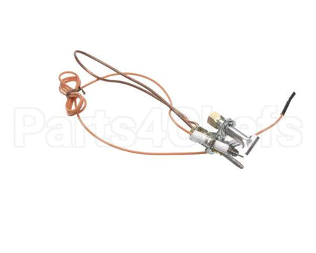 3000013480 Jade Pilot W Electrode & Thermocoup