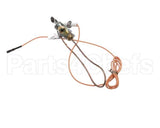 3000013480 Jade Pilot W Electrode & Thermocoup
