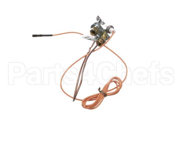 3000013480 Jade Pilot W Electrode & Thermocoup
