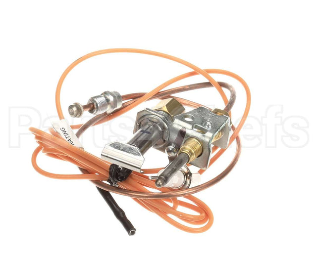 3000014113 Jade Pilot W/Elect&Thermo Assy
