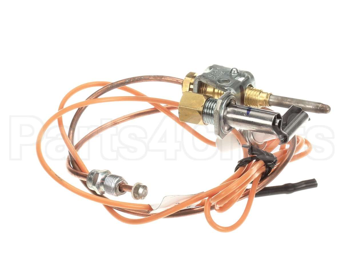 3000014113 Jade Pilot W/Elect&Thermo Assy