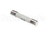 30025528 Flexeserve Fuse 6.3Amp