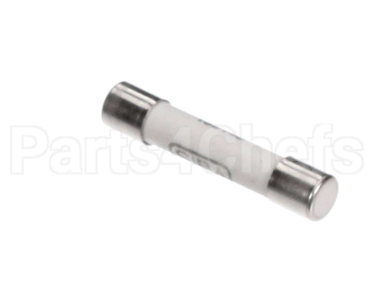 30049555 Flexeserve Fuse 10 Amp