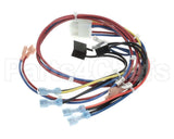 300982 Frymaster Wire Harness, Util.conn.