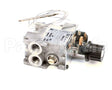 30100080 Firex Valve Eurosit 100-340
