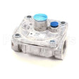 301030011 Compatible Atosa Regulator, Natural