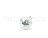 30400-0006 Antunes Screw, #4-40 X .25 Lg